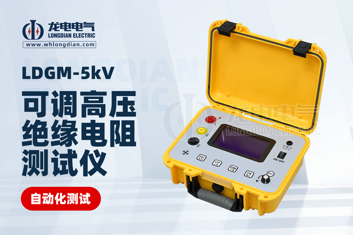 LDGM-5KV可調(diào)高壓絕緣電阻測試儀